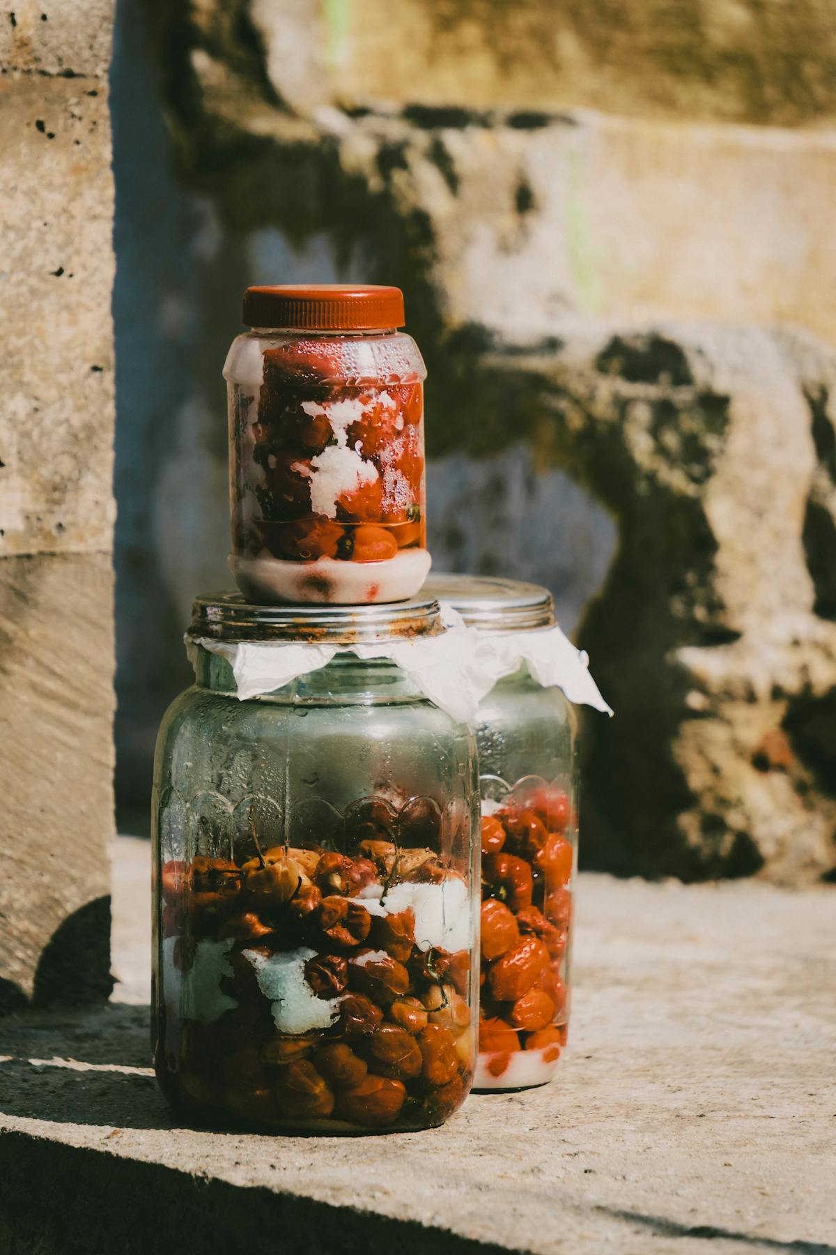 Conserver et faire dormir ses grains de kéfir de fruits