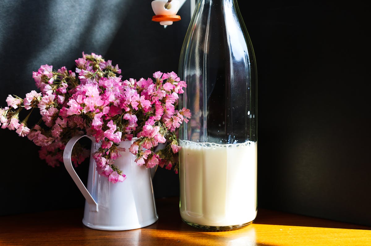 Quel lait choisir pour faire son kéfir ? Le guide comparatif